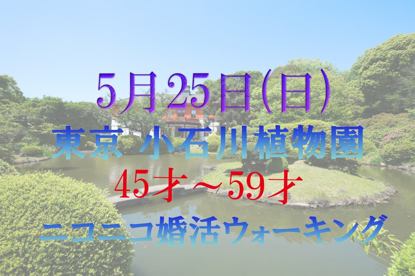 東京都 小石川植物園 婚活パーティーウォーキング 散歩 散策 神奈川県 出会い結婚